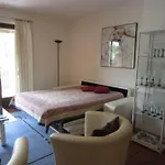 Residenz Degli Angioli דירה אסקונה